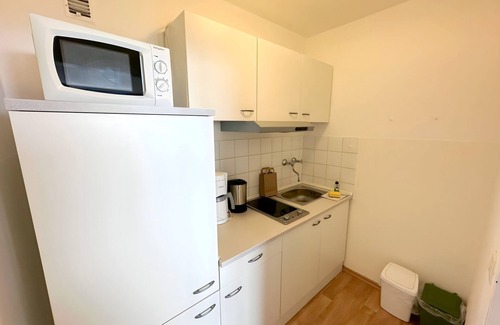 Geyersberg Apartment | Flat Bernhard in the Bavarian Forest