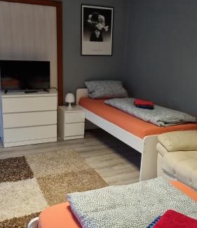 Flensburg Apartment | Flensburg City 4