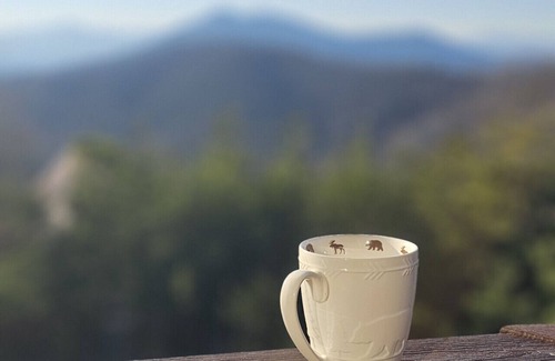 Gatlinburg - Pigeon Forge Cabin | Flexible Cancellation! Storyteller Cabin Deck Firepit dog friendly!