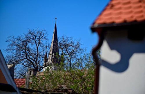 Historic Center House | FLH - Casa Doris
