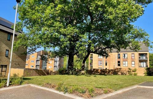Sheffield Apartment | Florence Suites