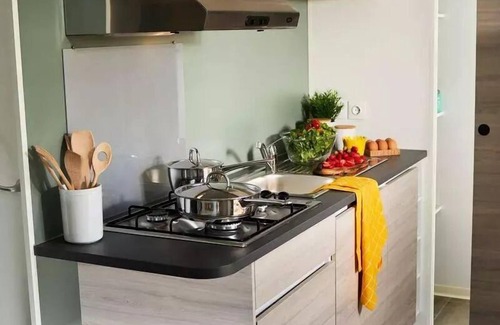 Anduze House | Flower CAMPING FAUVETS * - Mobile home TRIBU Premium 62m2 (5 bedrooms + 2 bathrooms) + terrace 25m2 + CLIM + TV+ LV 10 persons