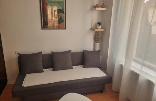 Cluj-Napoca Apartment | Flower Inn - apartament 2