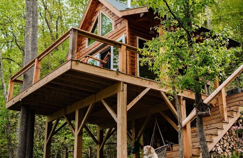 Canton House | Flowertown Charm Off-Grid Treehouse w/Highland Cows