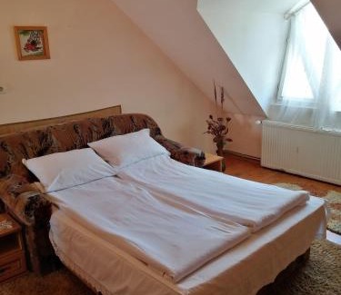 Siculeni House | Fodor Vendégház