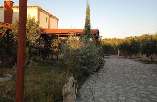 Kounavi Villa | Fοivos and Athina Villas