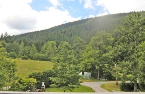 Baiersbronn Apartment | For nature lovers with up to 3 bedrooms and wonderful views!