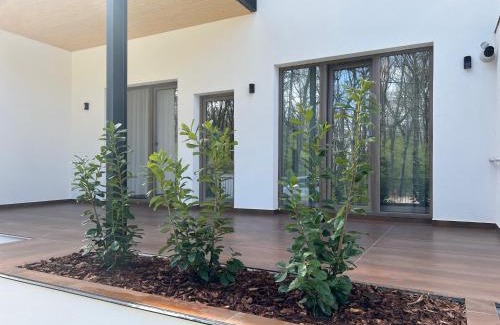 Pitesti Apartment | Forest Boutique