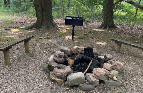 Bladensburg Cabin | Forest Cabin #1 at Camp Because I Said I Would