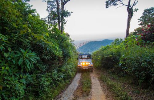 Devikolam Resort | Forest County