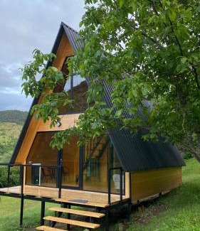 Likani Apartment | Forest house