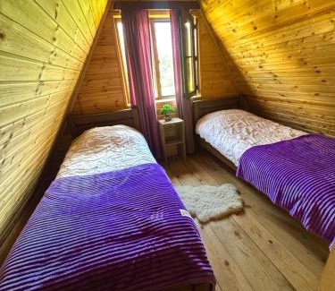 Likani Ski Chalet | Forest hut