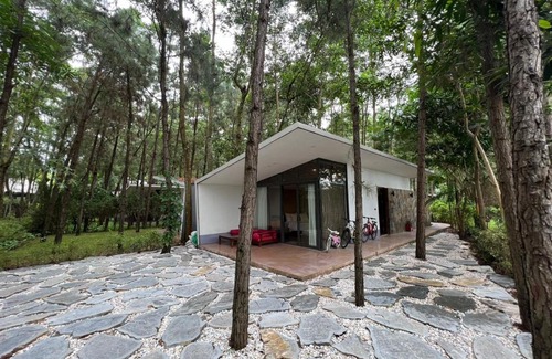 Ngoc Quang House | Forest Villa in Dai Lai Resort