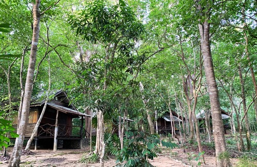 Nuea Khlong House | Foresta Cottage of Koh Pu no6197