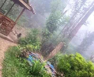 Ambagollapathana Hotel | Foret