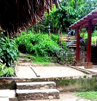 Ambagollapathana Hotel | Foret