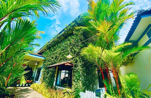 Chau Thanh Resort | Forever Green Resort
