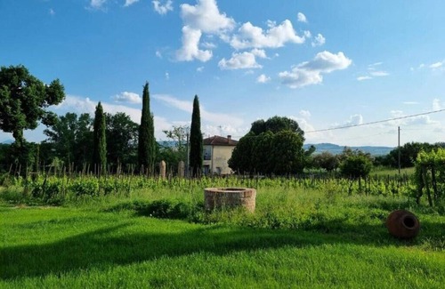 Montepulciano Apartment | Fornace del Conte - Apartment mit 1 Schlafzimmer