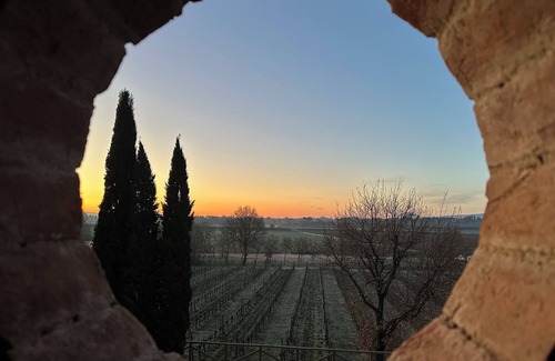 Montepulciano Apartment | Fornace del Conte - Apartment mit 1 Schlafzimmer