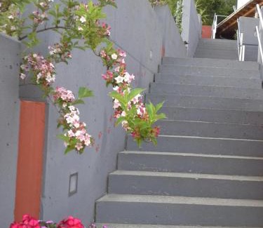 Millstatt Apartment | Forstbauer