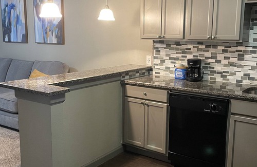 Fort Worth Cultural District Apartment | Fort Worth Apartment + FAST WIFI + Great Location