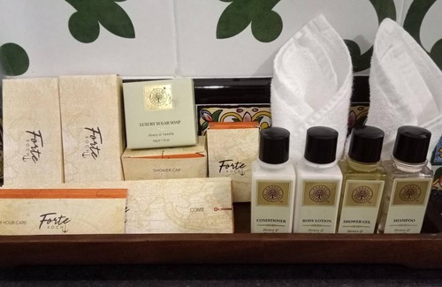 Fort Kochi Hotel | Forte Kochi
