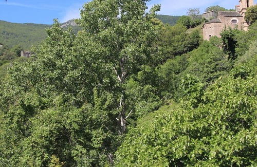 Carcheto-Brustico Apartment | Fortified medieval hamlet.