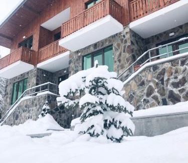 Bakuriani Villa | Fortuna Cottage Bakuriani