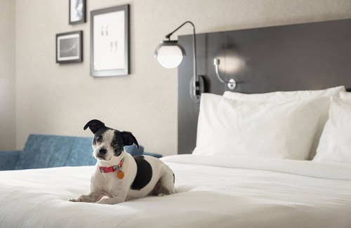 Brown Deer Hotel | Four Points by Sheraton Milwaukee North Shore