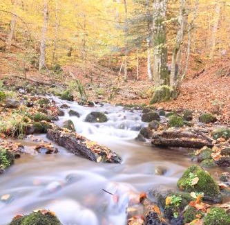 Bruckmuehl Apartment | Fowo-Mangfalltal Erholung am Fluss Nähe München schnelle Anbindung zum Oktoberfest