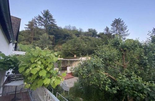 Kamp-Bornhofen House | FränZ Comfortable holiday residence