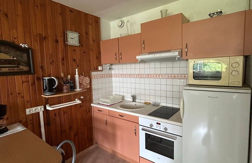 Besse-et-Saint-Anastaise Apartment | Cozy 1-bedroom apartment in Super Besse center