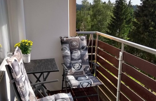 Altenau Apartment | Franks Fewo Altenau | Harz 2-4 persons | Wlan