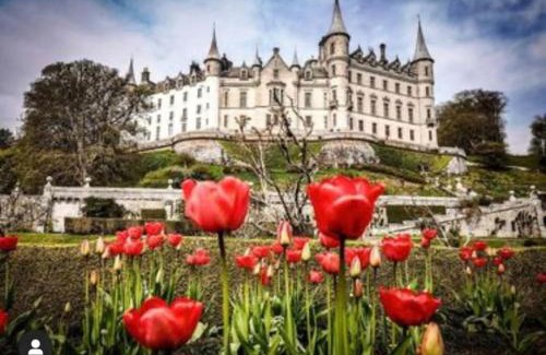 Golspie Apartment | Frasers Apartment