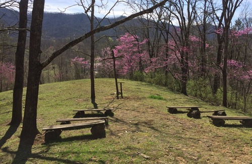 Seymour House | Free Guided mountain walking tour with ranch stay