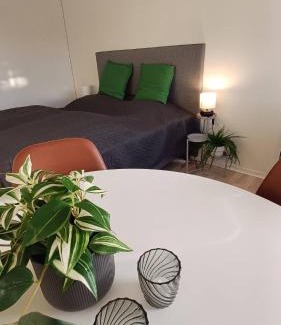 Aalborg Apartment | Free Parking Center Of The City Studio Aalborg