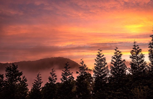 Gerton House | Fresh mountain air! Minutes to Lake Lure, 15 miles to AVL!
