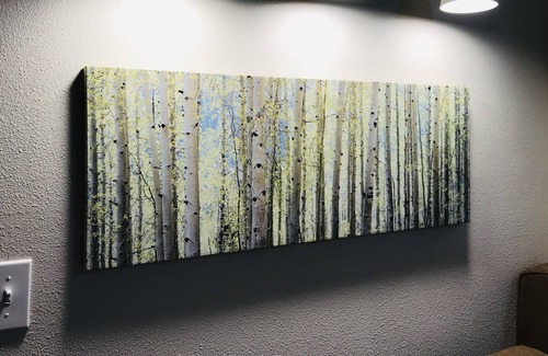 Albany House | Fresh Studio