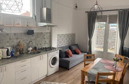 Sincraieni Apartment | Fressh House