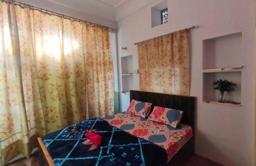 Pink City House | Friend India