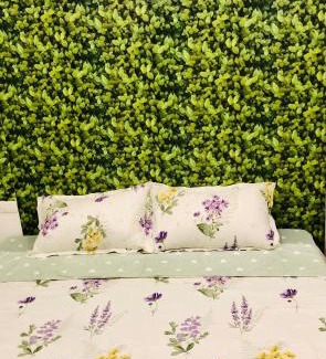 Ngoc Khanh House | Friends House Hanoi Homestay