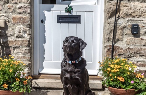 Fremington House | Frog House - Two Bedroom House, Sleeps 4