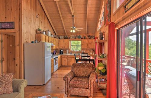 Hiawassee House | Frog Leap Hiawassee Cabin with Blue Ridge Mtn View