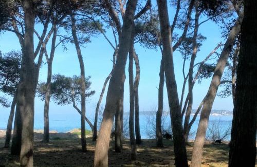 Rivabella Apartment | Frontemare Davide