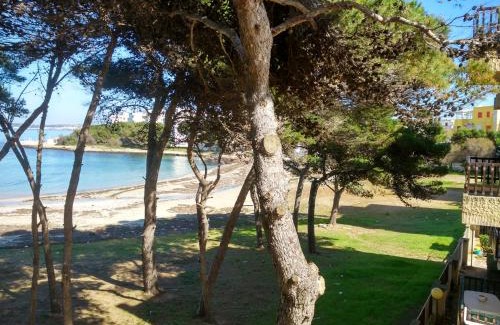 Rivabella Apartment | Frontemare Davide