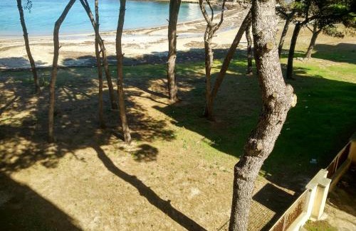 Rivabella Apartment | Frontemare Davide