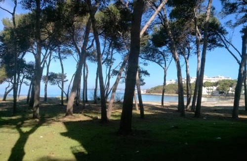 Rivabella Apartment | Frontemare Davide