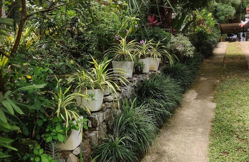 Kandy House | Fruit & Spices Garden Family Friendly Home Stay Kandy
