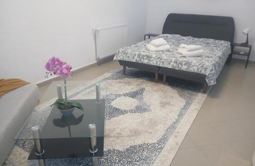 Dumbravita Apartment | Fufy's apartment