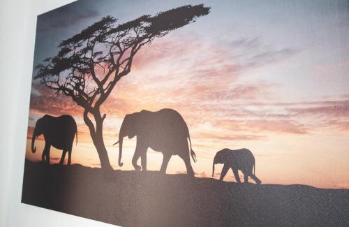 Halle Apartment | FullHouse - Halle - T28 - Elephant Apartment